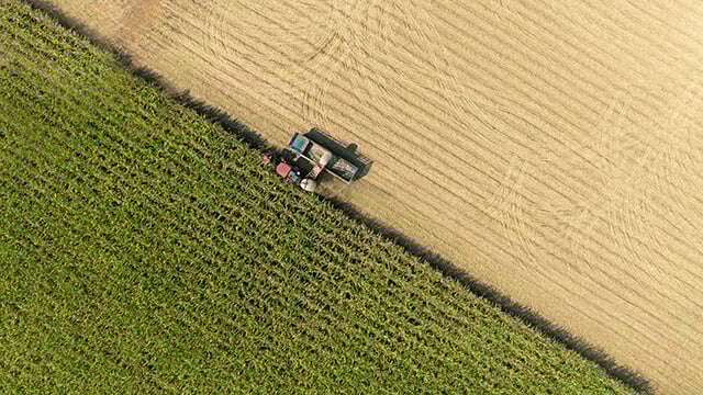 field-with-grass-agriculture