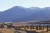 CNRL oil industry canada boost