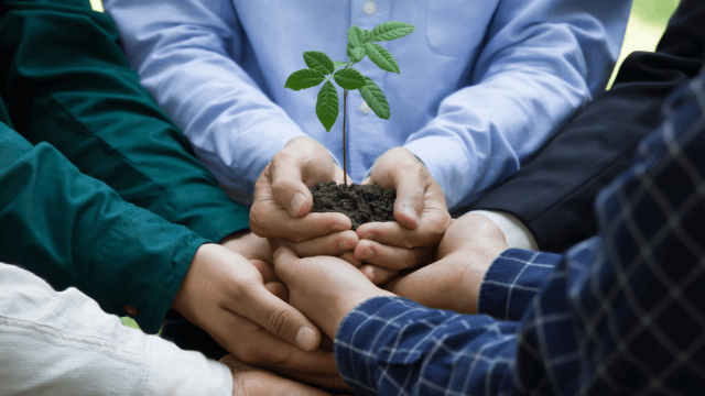 Climate change solutions require collaboration between politicians, scientists and entrepreneurs (1)