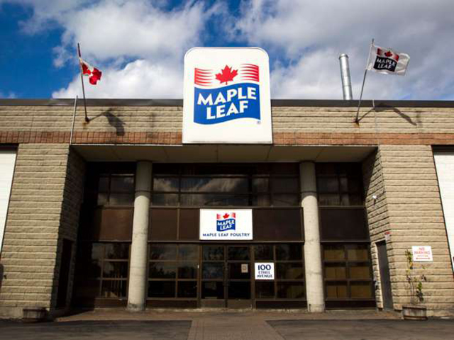 maple leaf plant protein separation 640x360