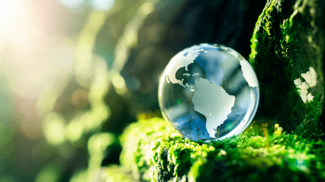 sustainability (1)
