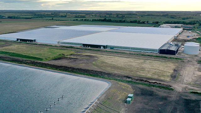 Fenland glass house 640