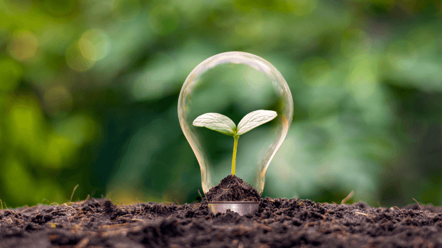 Sustainability