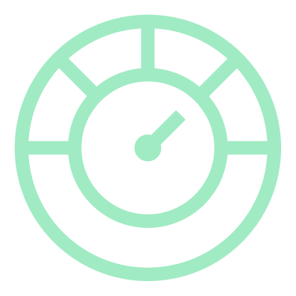 icon_performance audits
